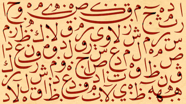 The comparative and superlative افعل التفضيل's cover image
